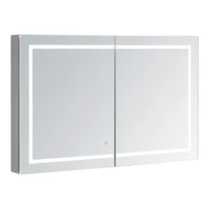 Aquadom Royale Plus 48x30 LED Lighted Medicine Cabinet