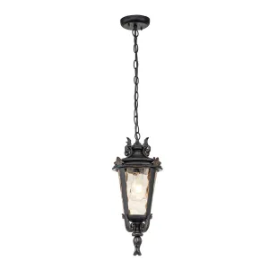 Baltimore 1 Light Medium/Large Chain Lantern - Weathered Bronze IP44 E27