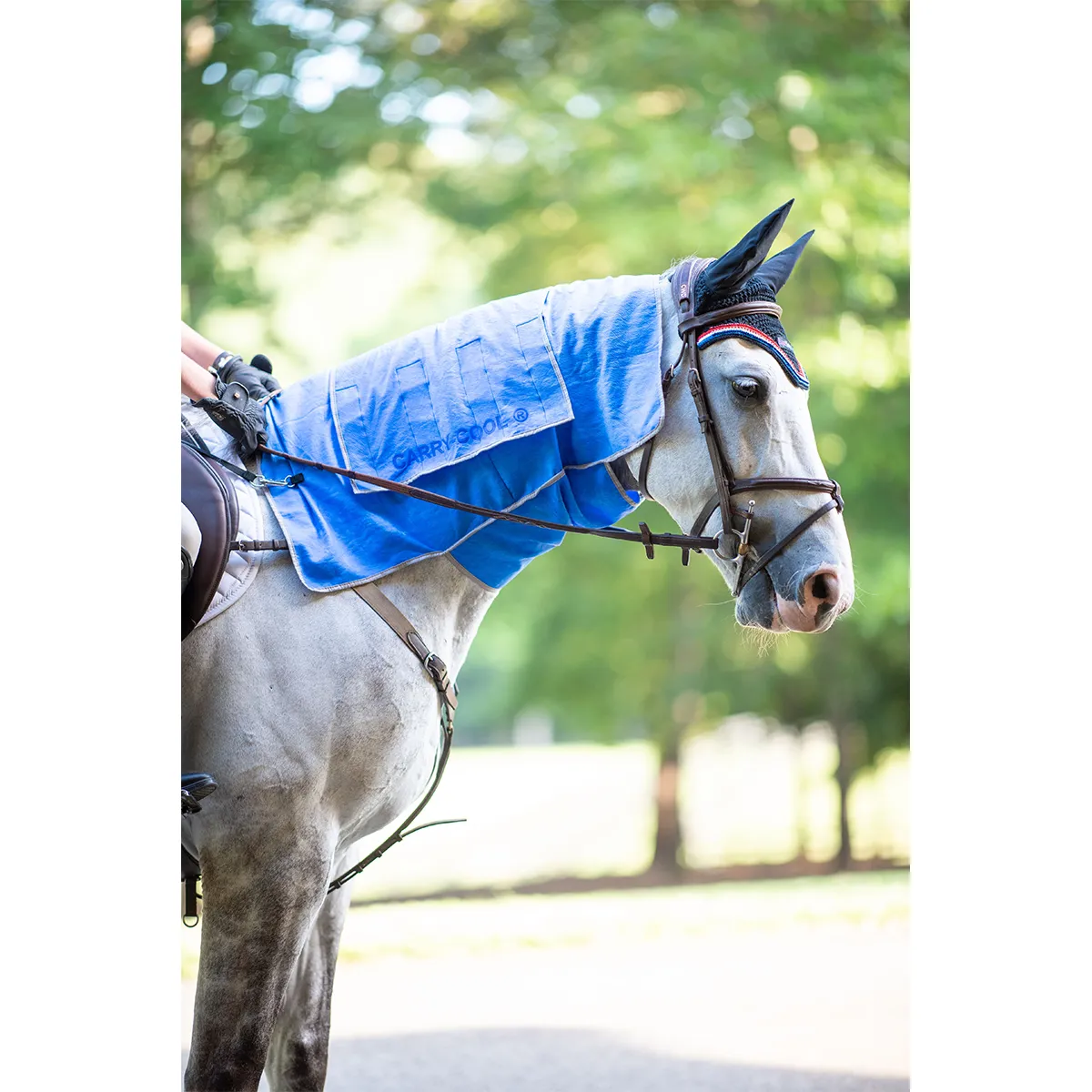 Carry-Cool Sport Horse Cooling Kit