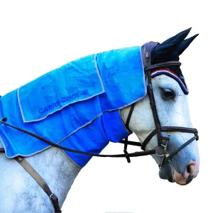 Carry-Cool Sport Horse Cooling Kit