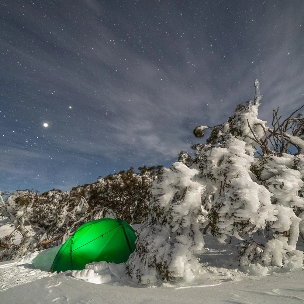 Dragonfly Tent Forest Green