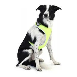 Equisafety LED Hi Vis Reflective Dog Harness  Small - Yellow