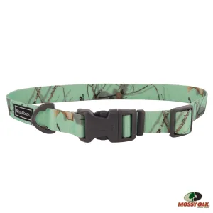 Water & Woods Adjustable Dog Collar, Mossy Oak Mint Camo Medium