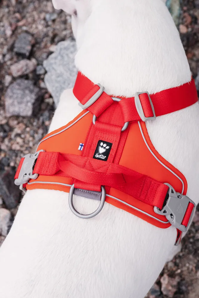 Weekend Warrior Harness ECO