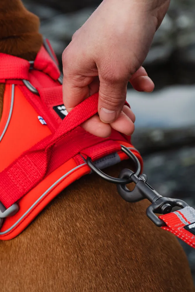 Weekend Warrior Harness ECO