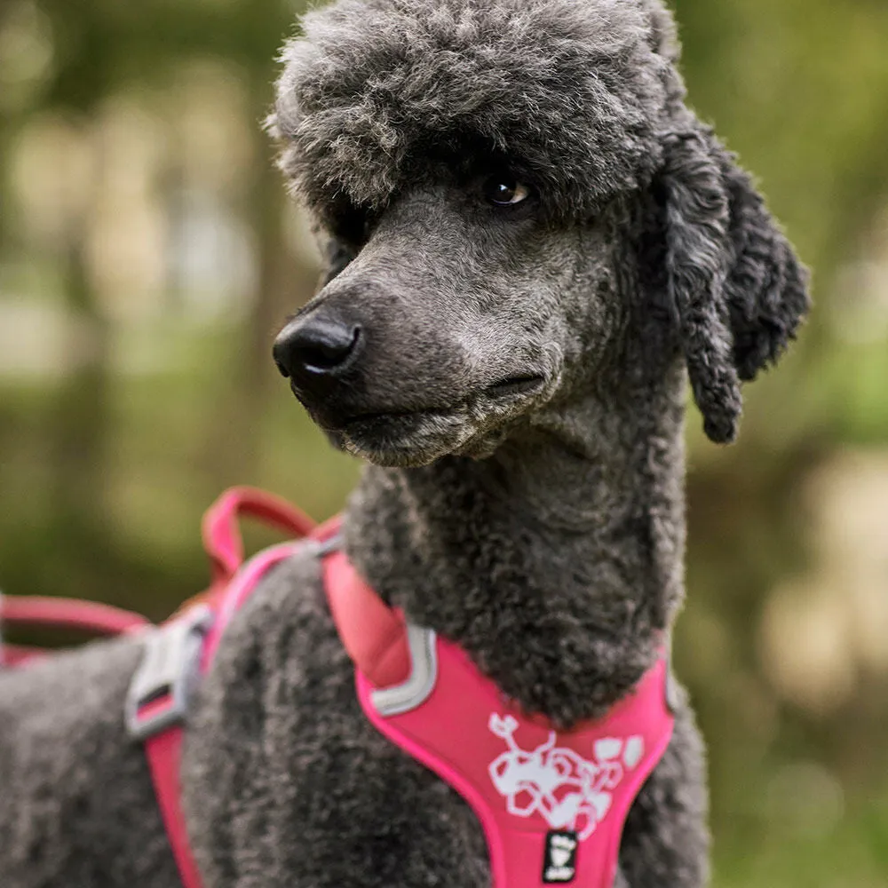 Weekend Warrior Harness