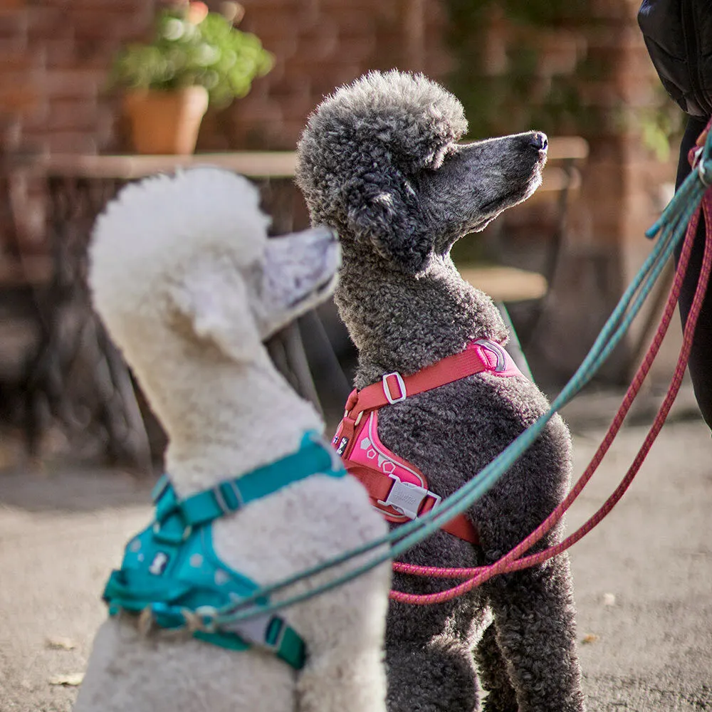 Weekend Warrior Harness